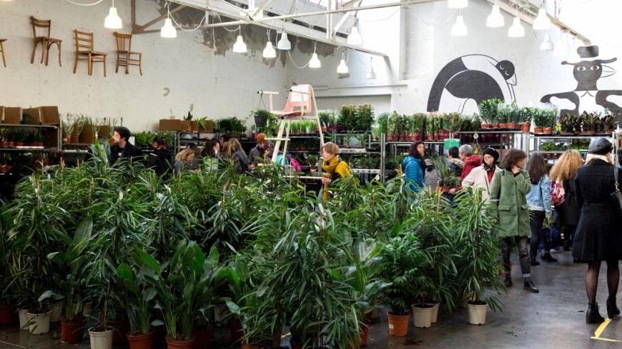 Une grande vente de plantes ce week-end à Lyon ! Une grande vente de plantes ce week-end à Lyon !