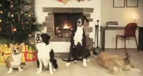 Chien qui chante Jingle Bells