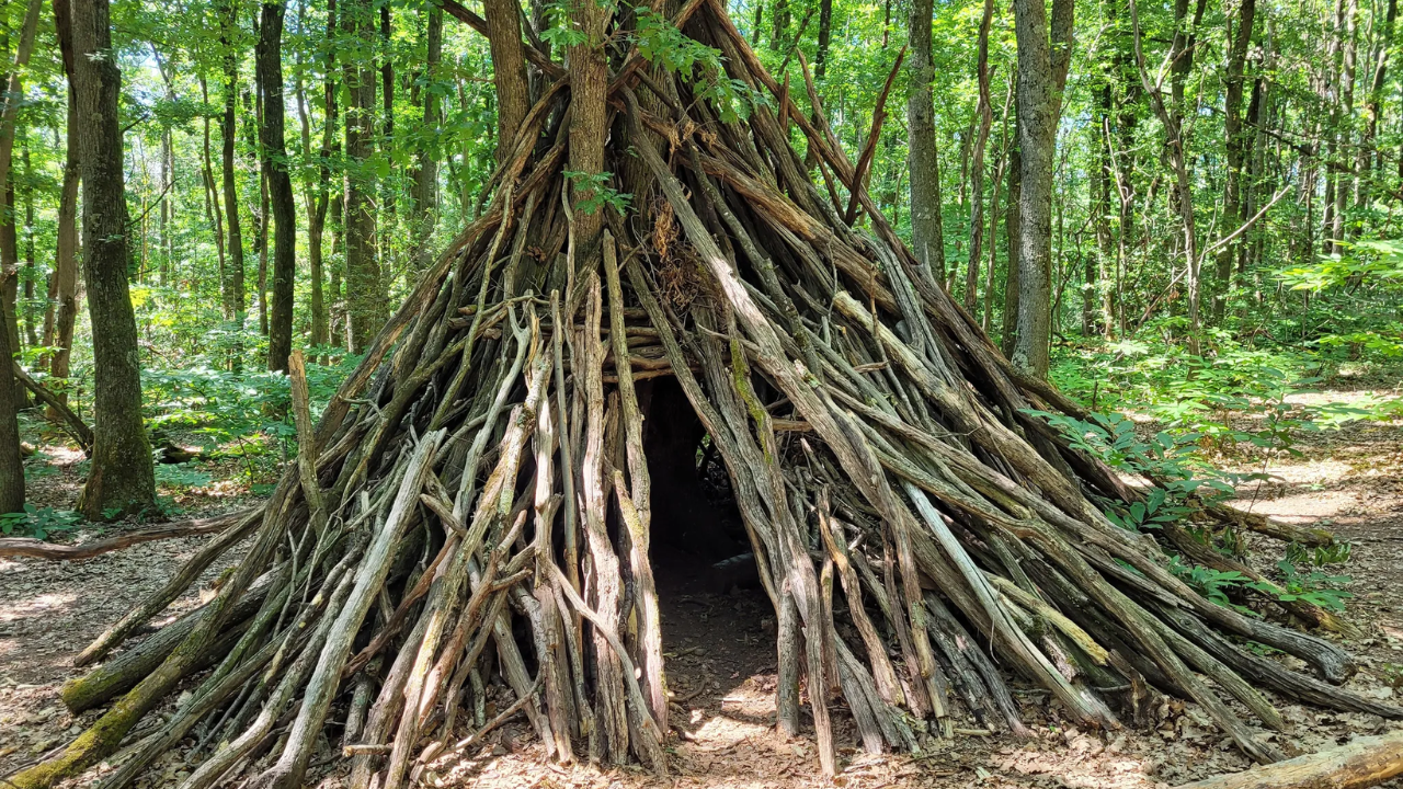 Balades - Tour du bois de Serres (2)