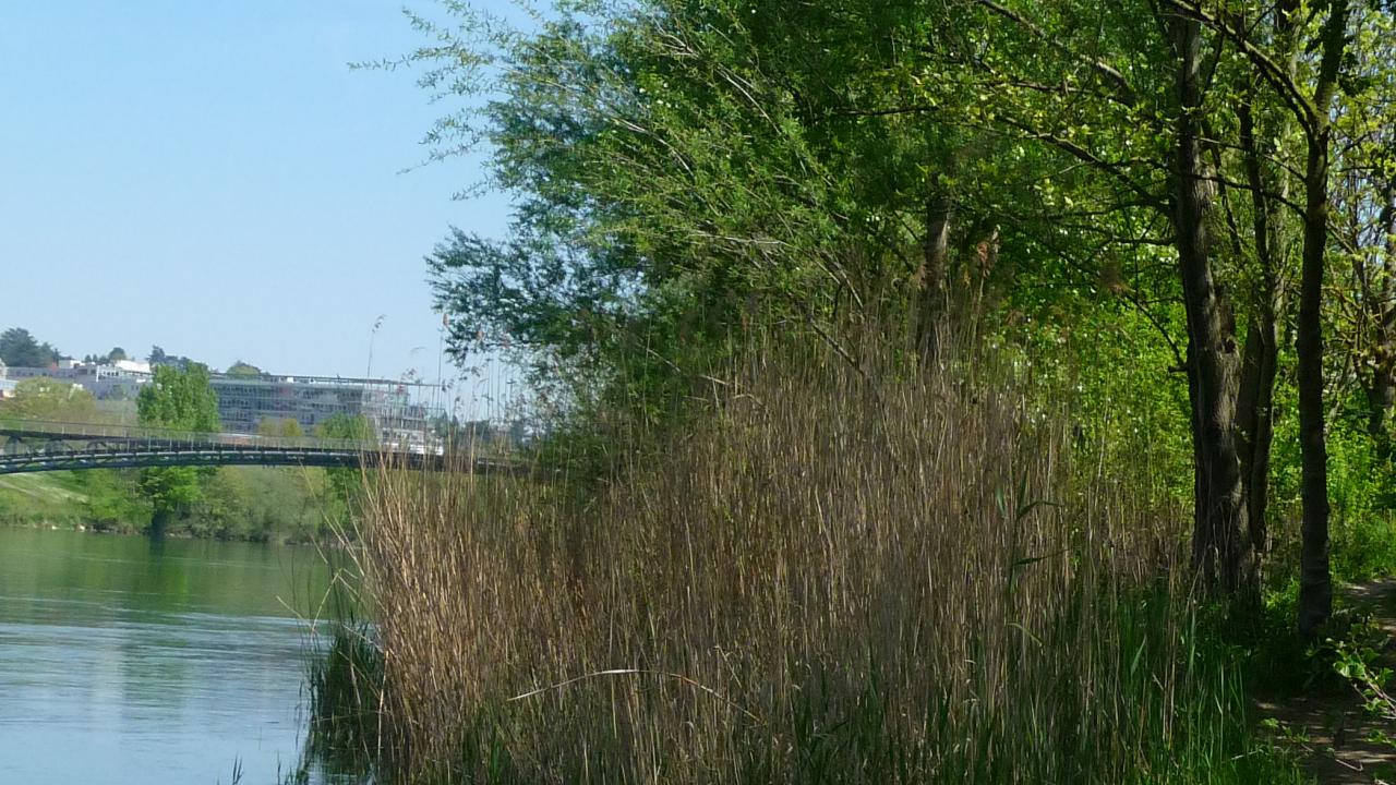 Les 7 trucs à savoir sur les Berges - Brétillod