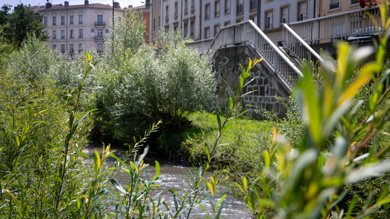 Les 5 projets qui vont faire Lyon dans les 10 ans - Oullins La Saulaie