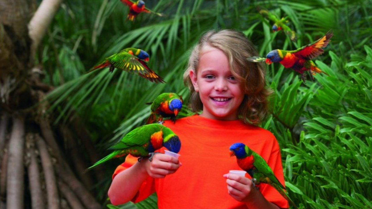 Les 6 meilleures activités à faire autour de Lyon avec vos enfants - Le Parc des Oiseaux