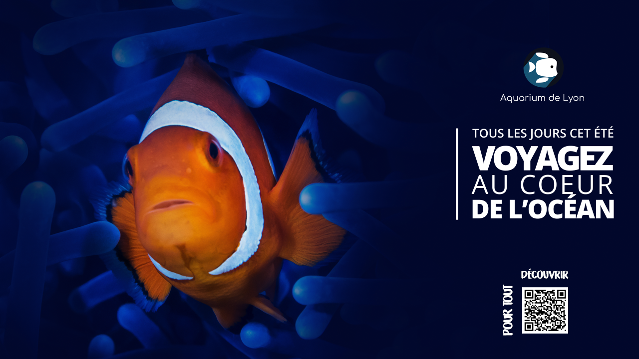 Diffusion du dessin animé de Disney « La Petite sirène » et photo shoot