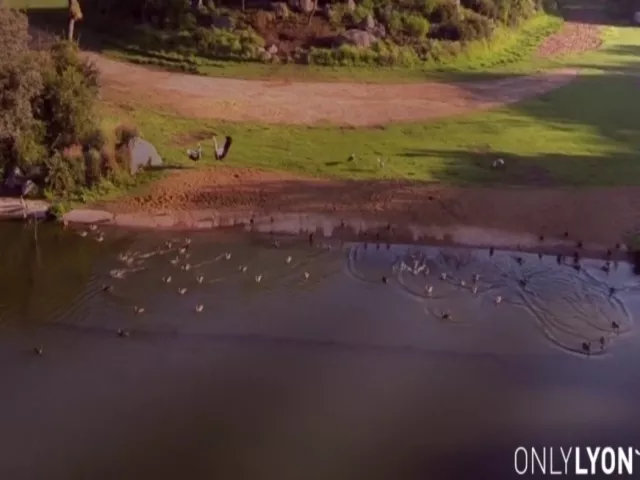 Lyon : une vidéo du parc de la Tête d’Or tournée avec un drone