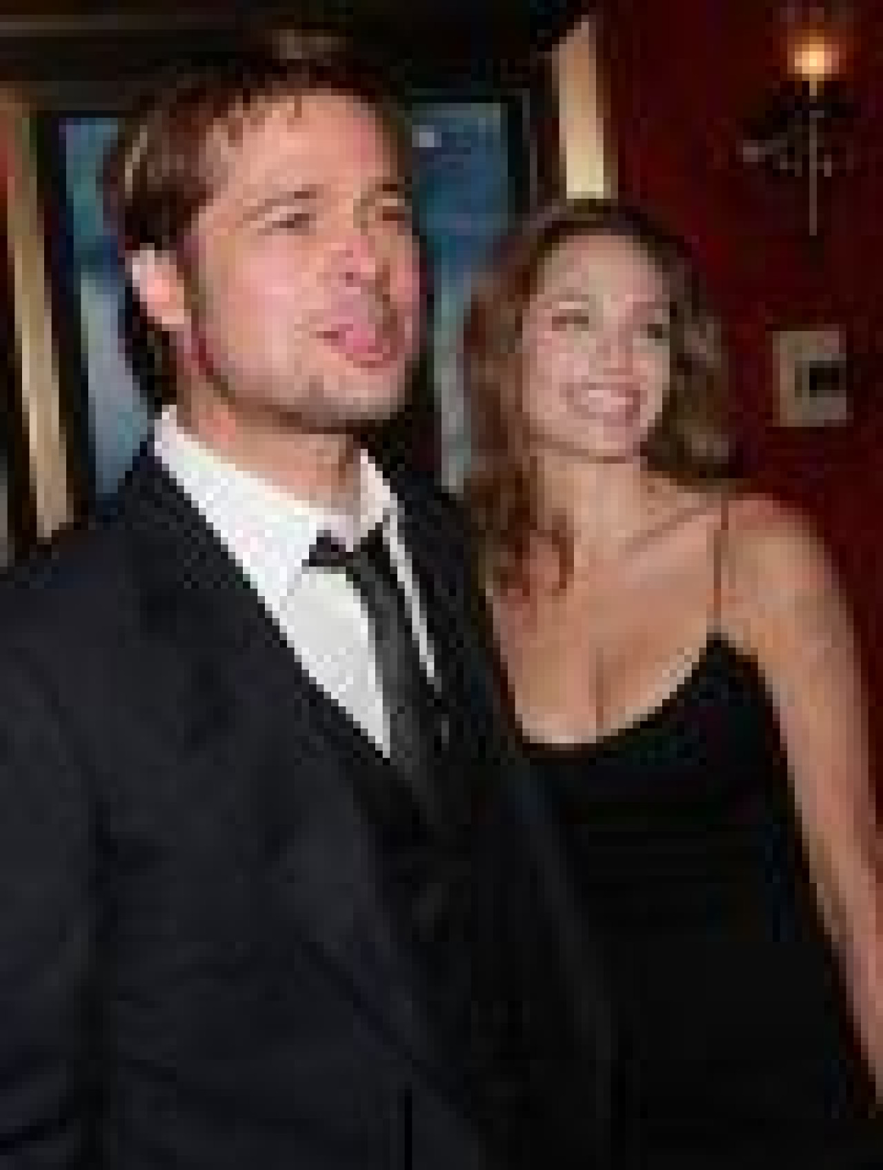 Les Brangelina pourraient adopter un petit Birman Les Brangelina pourraient adopter un petit Birman