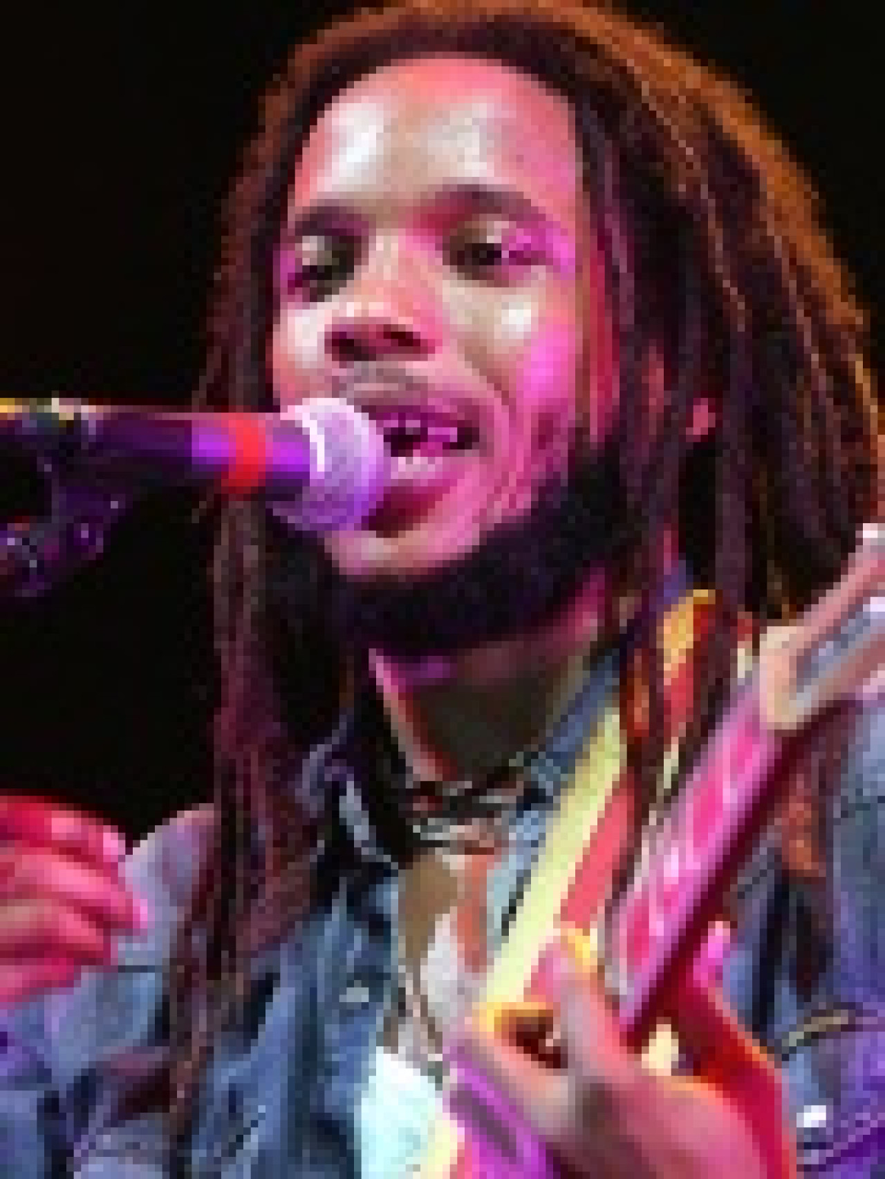 Bob Marley : son petit-fils Stephen l'incarnera au cin&eacute;ma 