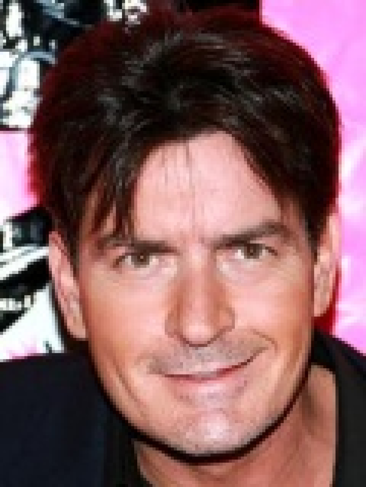 Charlie Sheen plaide coupable de violences conjugales Charlie Sheen plaide coupable de violences conjugales