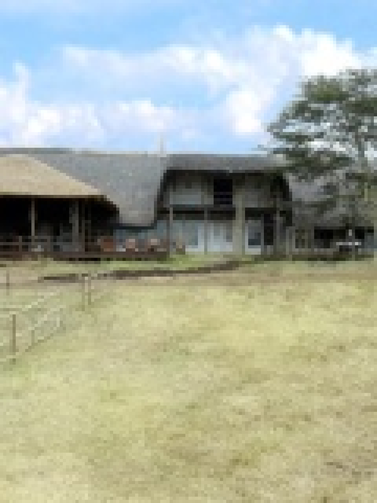 La Ferme C&eacute;l&eacute;brit&eacute;s 3 : TF1 et la m&eacute;thode cou&eacute;