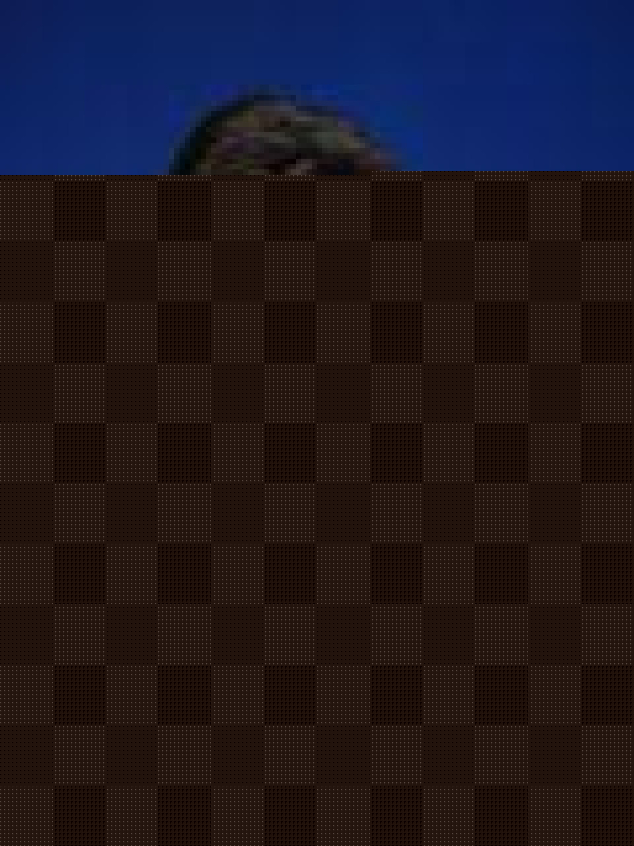 Rachida Dati : zohra hospitalisée d'urgence Rachida Dati : zohra hospitalisée d'urgence