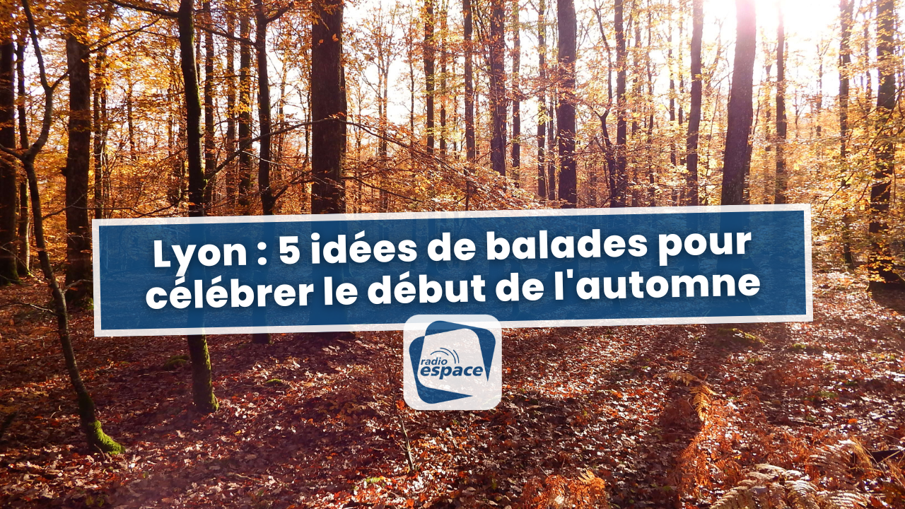 5 idées de balades pour célébrer le début de l'automne 5 idées de balades pour célébrer le début de l'automne