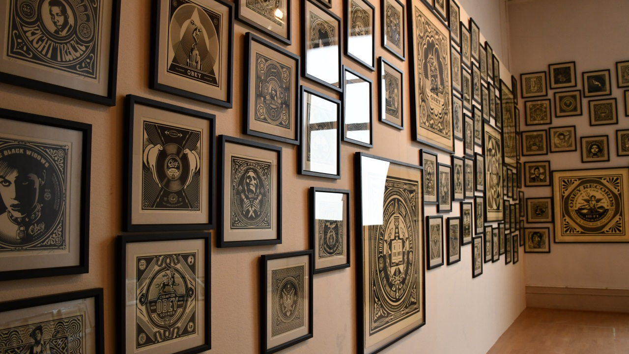 Bilan positif pour l'expo 1001 Reasons to (dis)OBEY à Lyon Bilan positif pour l'expo 1001 Reasons to (dis)OBEY à Lyon