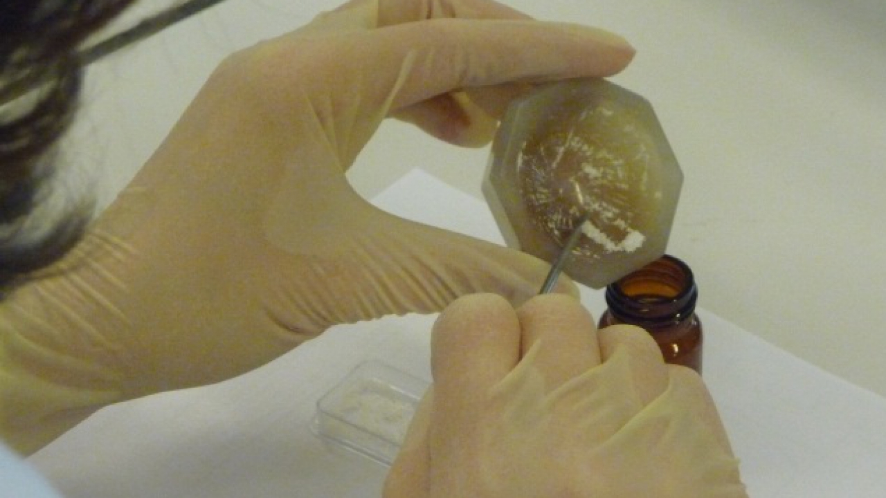 Un trafic de cannabis démantelé dans le Beaujolais Un trafic de cannabis démantelé dans le Beaujolais