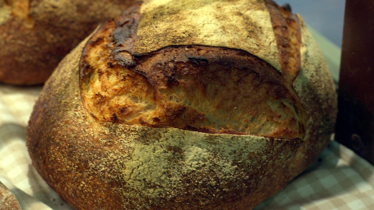 Des crottes de souris et une hygiène inquiétante : une boulangerie obligée de fermer à Villeurbanne Des crottes de souris et une hygiène inquiétante : une boulangerie obligée de fermer à Villeurbanne