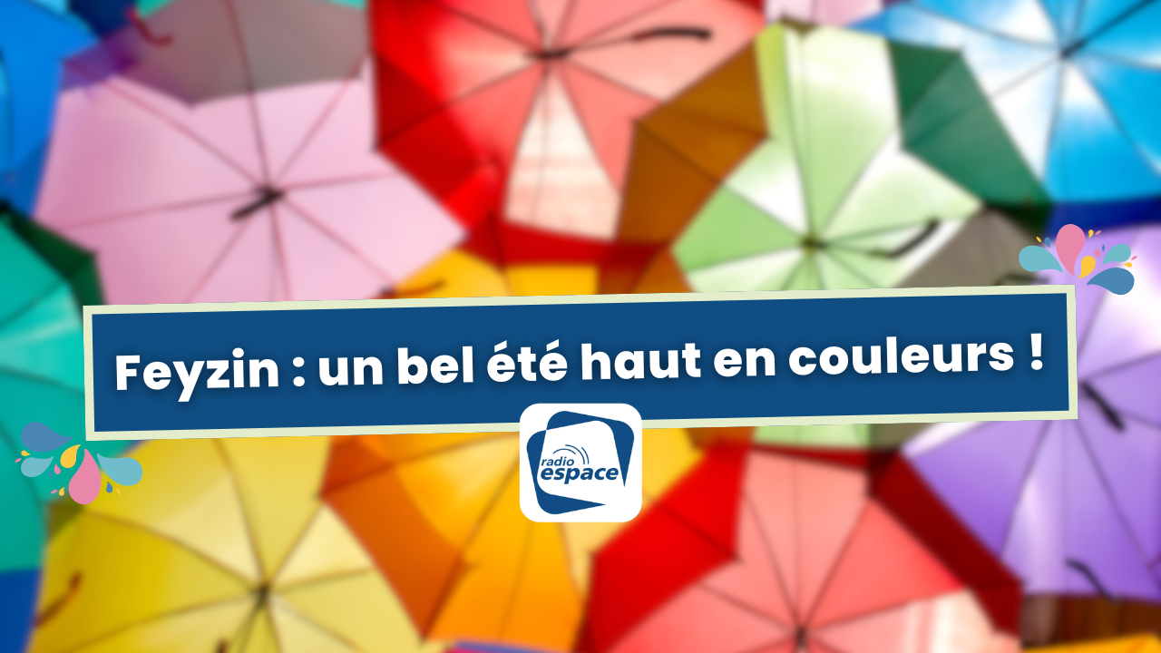 Feyzin : Un bel été haut en couleurs ! Feyzin : Un bel été haut en couleurs !