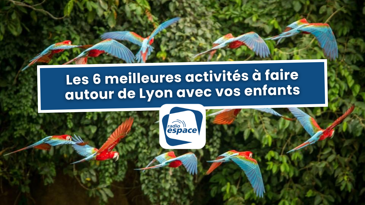 Les 6 meilleures activités à faire autour de Lyon avec vos enfants Les 6 meilleures activités à faire autour de Lyon avec vos enfants