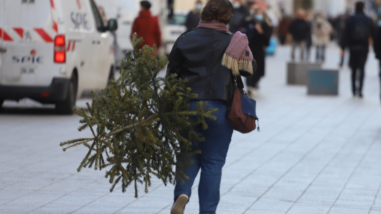 Lyon : déposez votre sapin de Noël en point de collecte Lyon : déposez votre sapin de Noël en point de collecte
