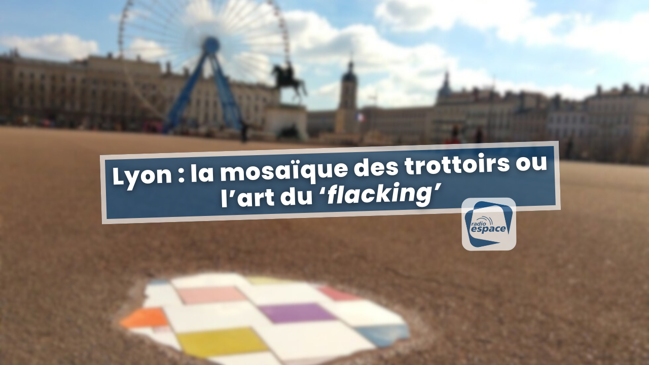 Lyon : la mosaïque des trottoirs ou l’art du flacking Lyon : la mosaïque des trottoirs ou l’art du flacking