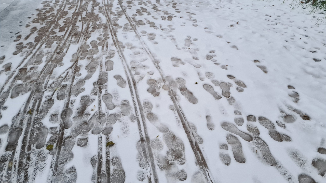Neige : la M&eacute;tropole de Lyon d&eacute;clenche son dispositif de viabilit&eacute; hivernale