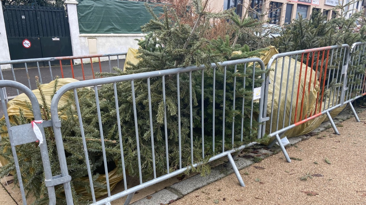 O&ugrave; d&eacute;poser son sapin de No&euml;l dans la M&eacute;tropole de Lyon ?