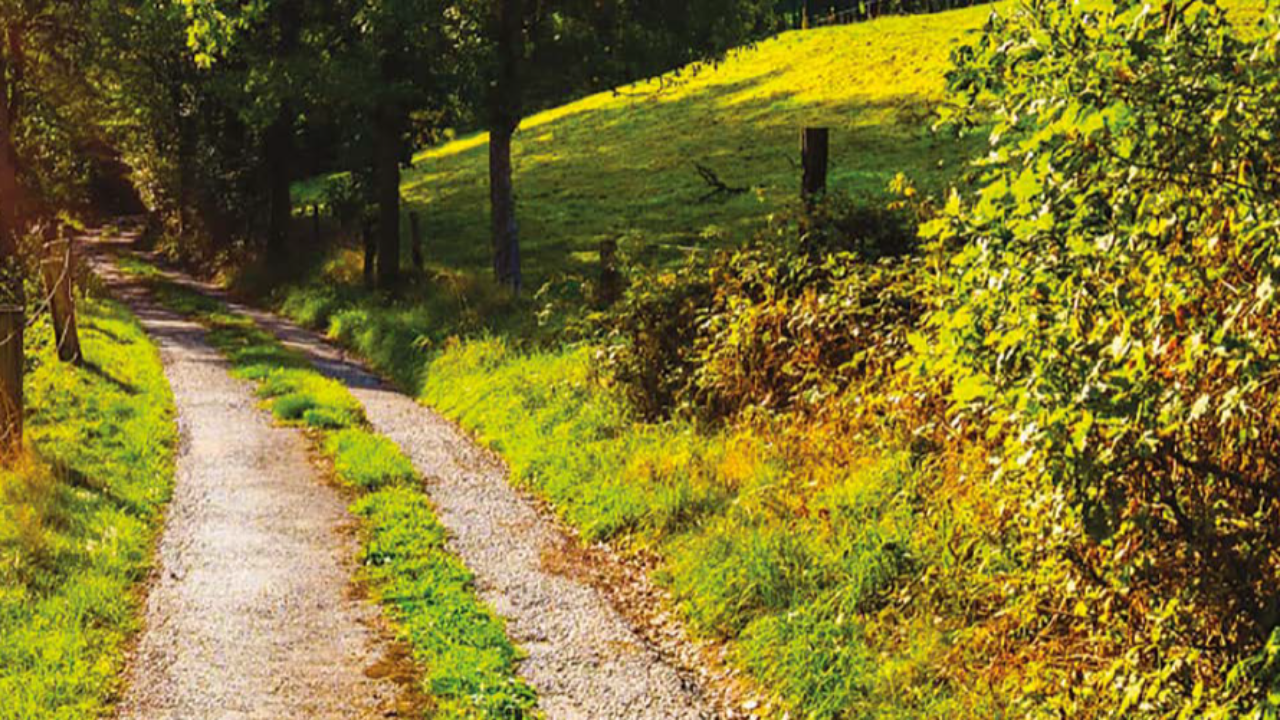 Rhône : Balade autour de Lyon - À la découverte du château d'eau