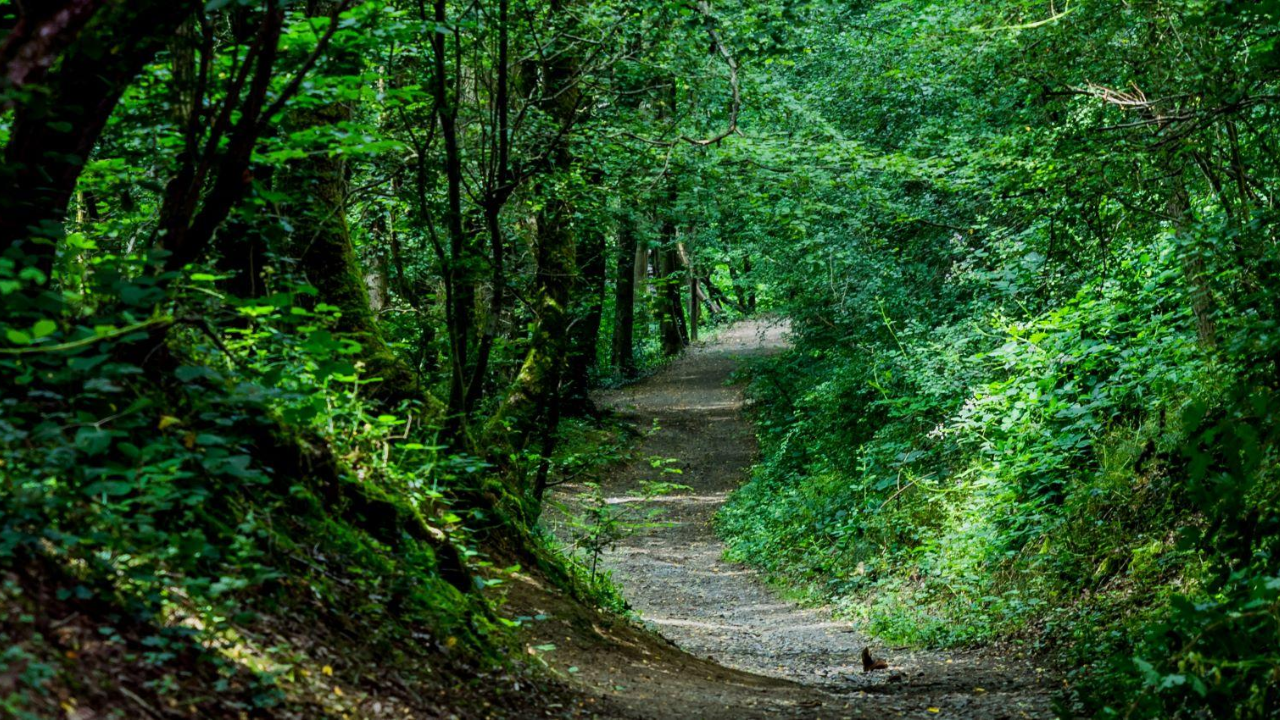 Rh&ocirc;ne : Balade autour de Lyon - tour du bois de Serres
