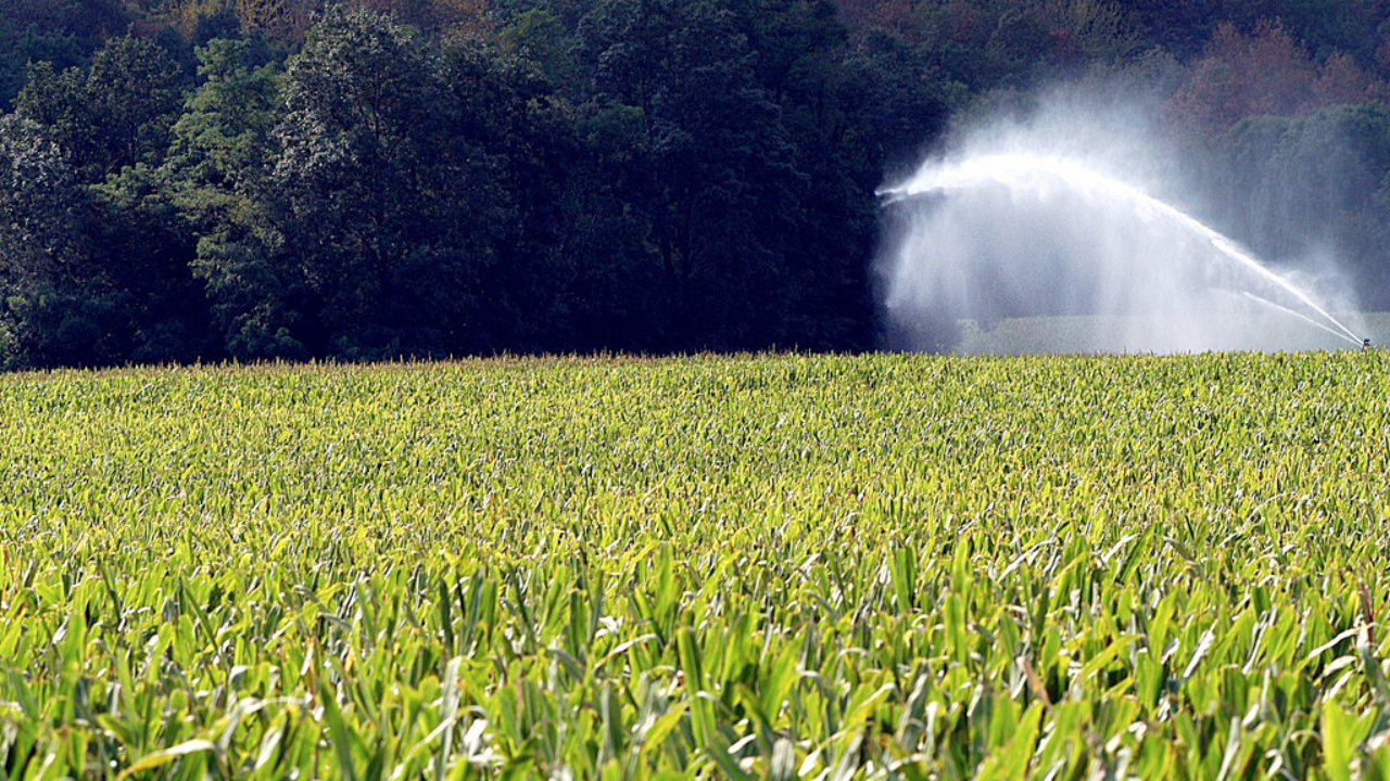 Rhône : l’état de catastrophe naturelle reconnue dans 28 communes Rhône : l’état de catastrophe naturelle reconnue dans 28 communes