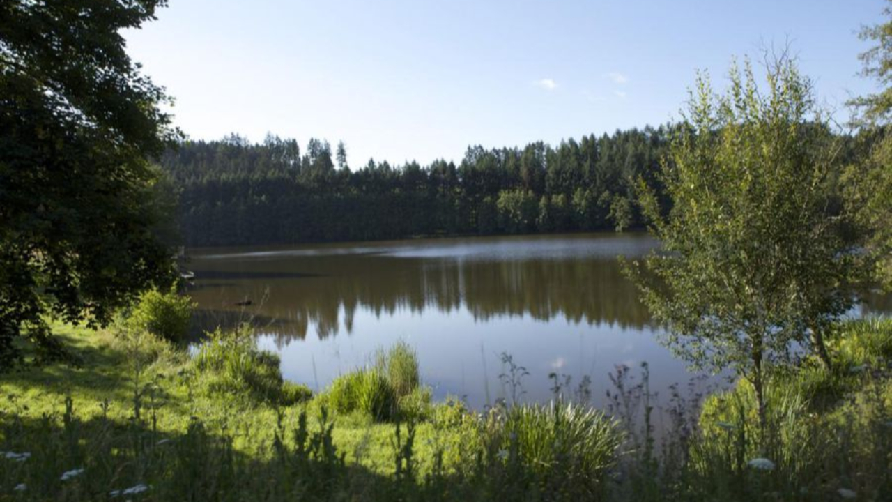 Rh&ocirc;ne : la baignade temporairement suspendue au lac des Sapins