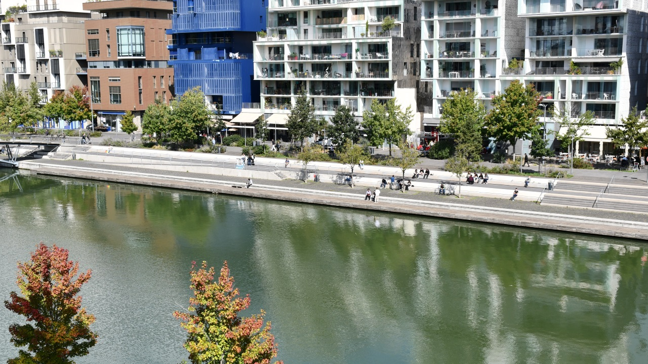 Une piscine naturelle bientôt installée à la Darse de Confluence à Lyon ?