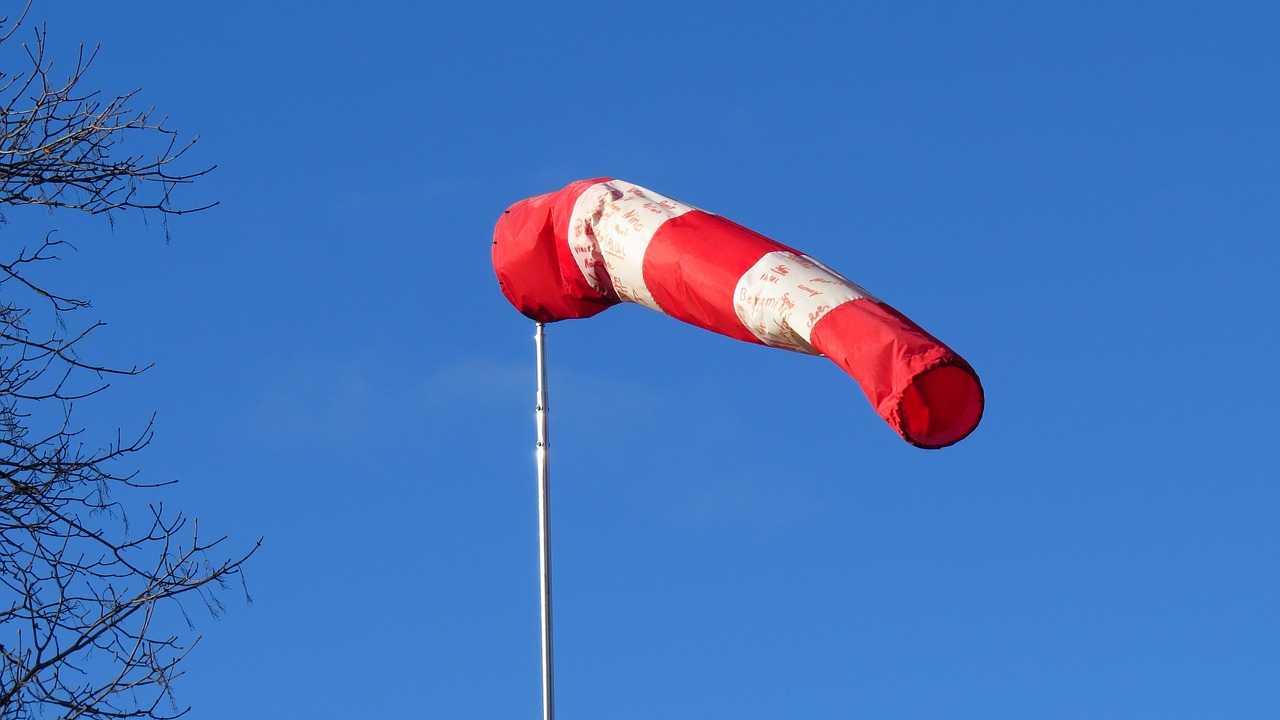 Vent violent : les parcs et jardins de Lyon fermés jusqu'à vendredi