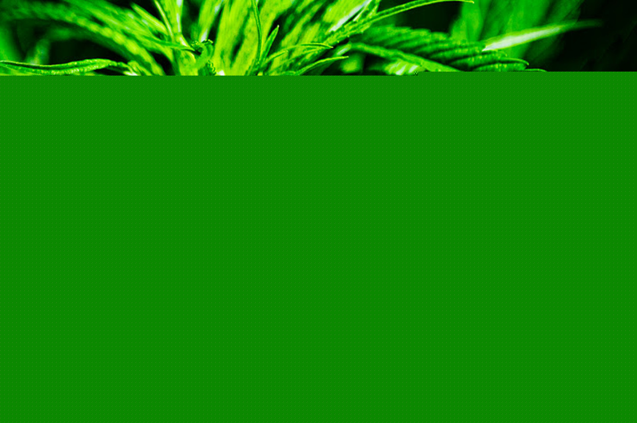 Est Lyonnais: 8 interpellations dans une affaire de drogue