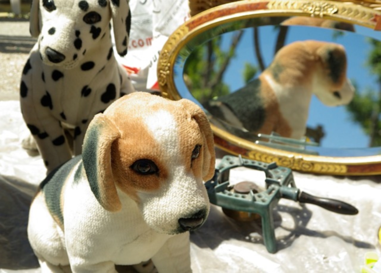 Le hangar des Puces du Canal toujours fermé Le hangar des Puces du Canal toujours fermé