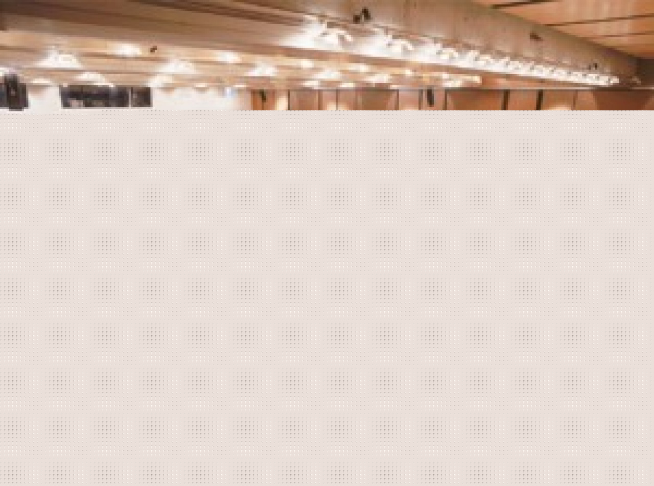 Les étudiants de l'ESSA de Bordeaux à Lyon ? Les étudiants de l'ESSA de Bordeaux à Lyon ?