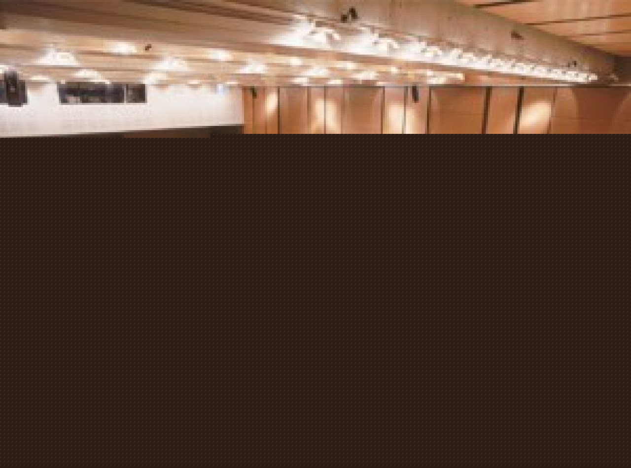 Lyon s&rsquo;engage pour la d&eacute;fense de l&rsquo;environnement