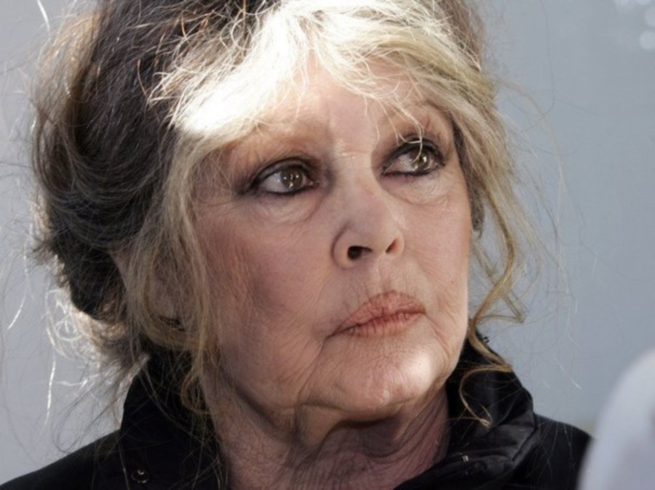 Rhône : Brigitte Bardot veut aider la petite vache qui ne voulait pas mourir Rhône : Brigitte Bardot veut aider la petite vache qui ne voulait pas mourir
