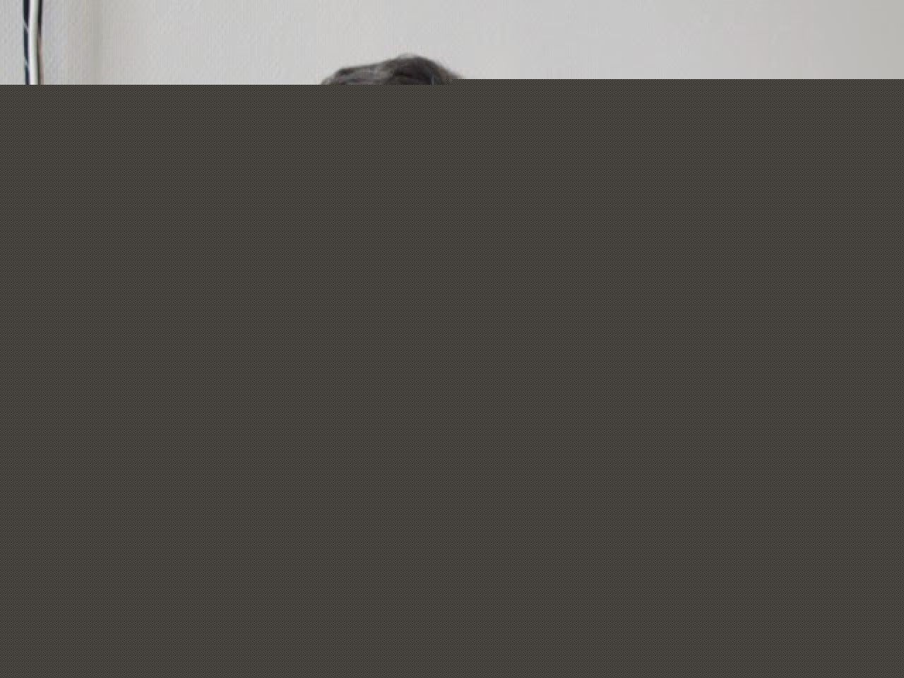 Un député Rhônalpin propose de doubler les délais pour entamer une poursuite judiciaire Un député Rhônalpin propose de doubler les délais pour entamer une poursuite judiciaire