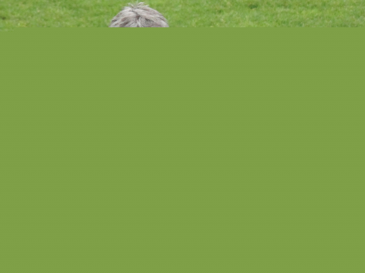 L’OL féminin face à Dijon pour les quarts de finale de la Coupe de France