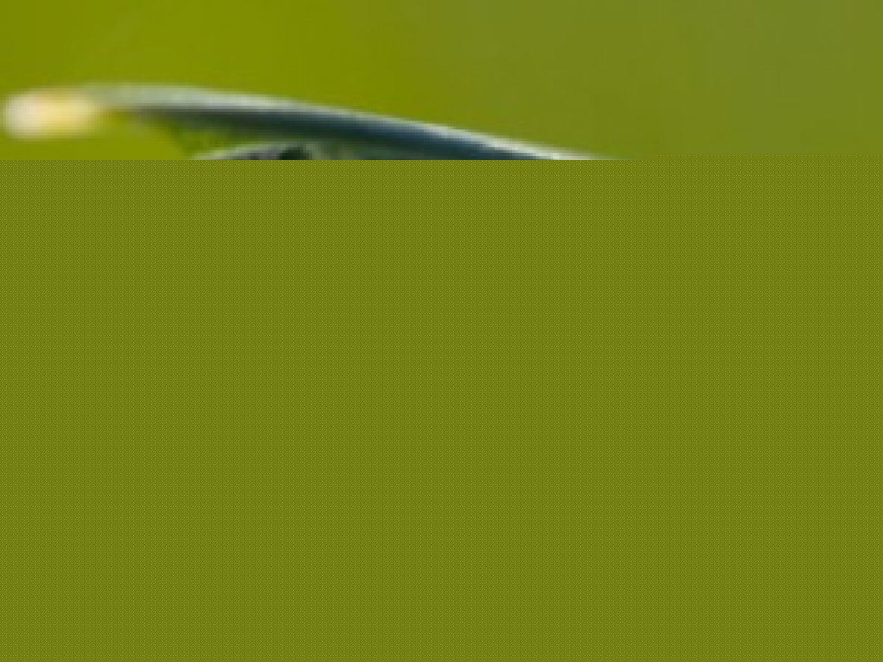 1 lampe rapport&eacute;e, c&rsquo;est un arbre plant&eacute;