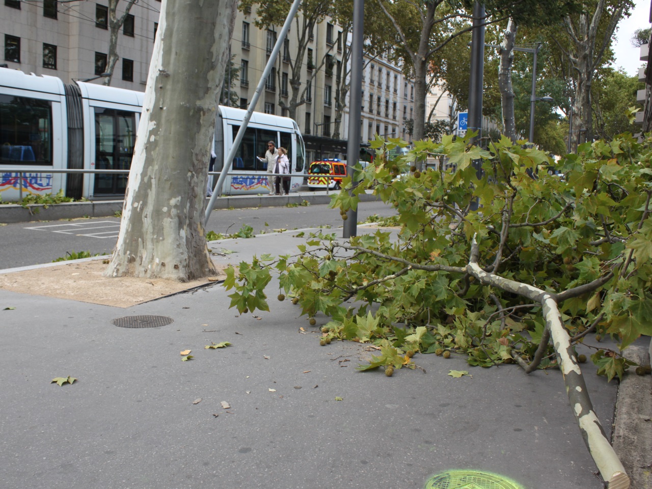 Des vents violents attendus dans le Rhône ce samedi Des vents violents attendus dans le Rhône ce samedi