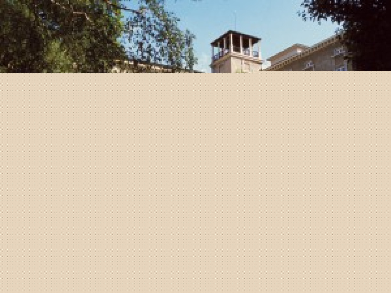 Beau succ&egrave;s pour Des racines & des ailes sp&eacute;cial Lyon