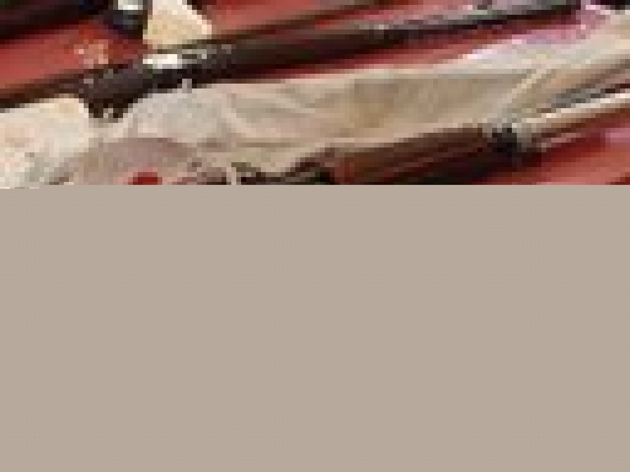 Découverte d’un arsenal chez un ancien militaire de l’Ain Découverte d’un arsenal chez un ancien militaire de l’Ain