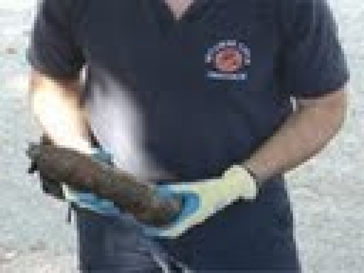 D&eacute;minage d&rsquo;une bombe  US &agrave; Chasse -sur-Rh&ocirc;ne