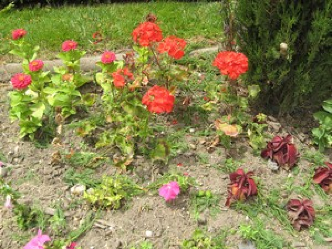 Des péniches remplies de végétaux arrivent mardi matin à Lyon Des péniches remplies de végétaux arrivent mardi matin à Lyon