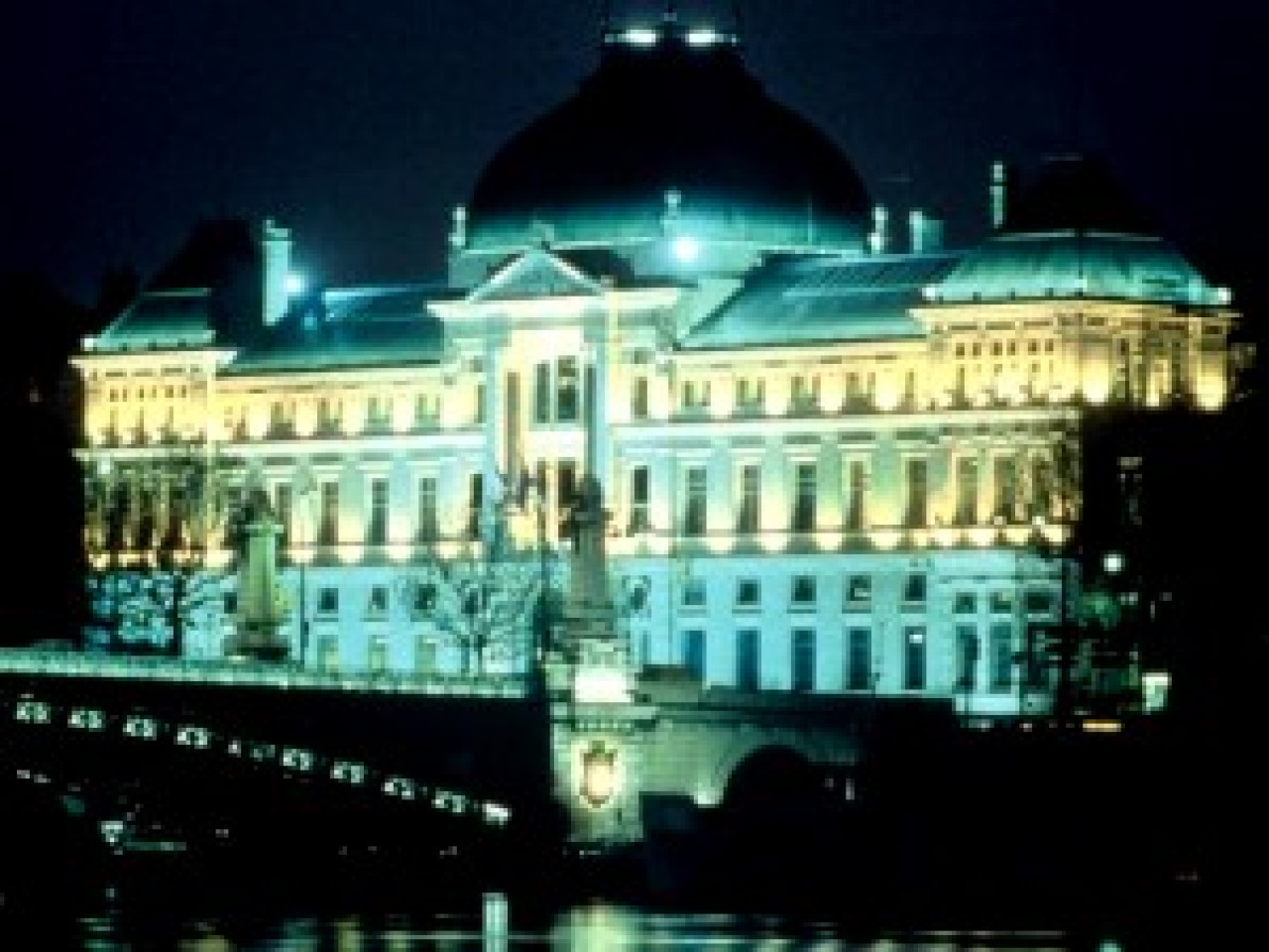 Exctinction symbolique à Lyon Exctinction symbolique à Lyon