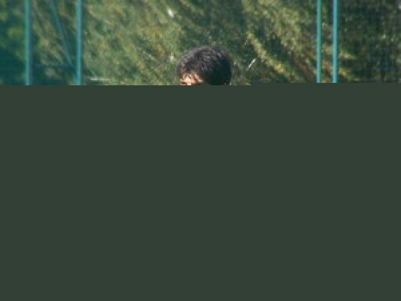 Football : Juninho et Govou sur le d&eacute;part ?