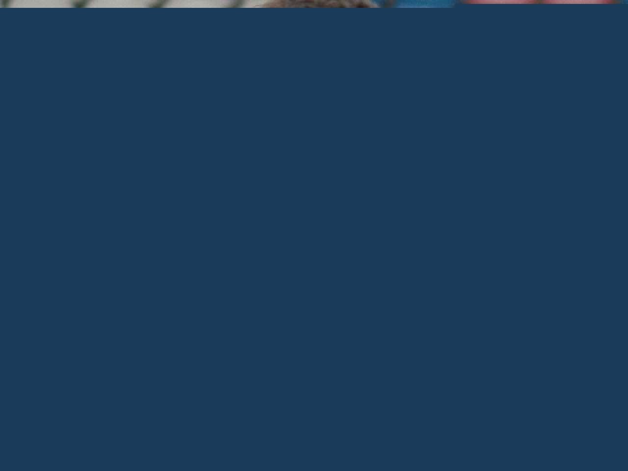 Gourcuff &agrave; l'OL : &ccedil;a, c'est fait!