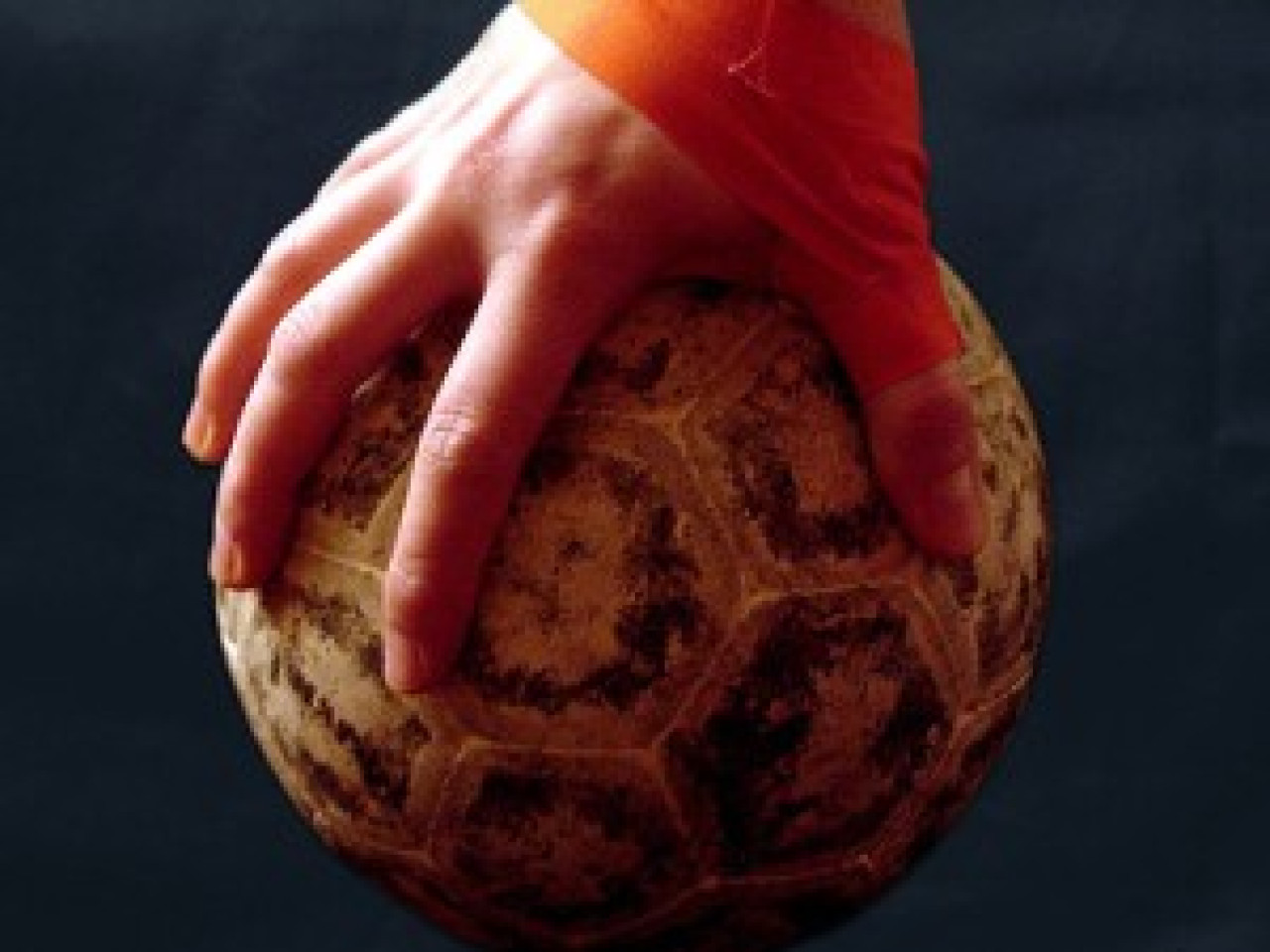 Handball : l’Entente assure contre la lanterne rouge Handball : l’Entente assure contre la lanterne rouge