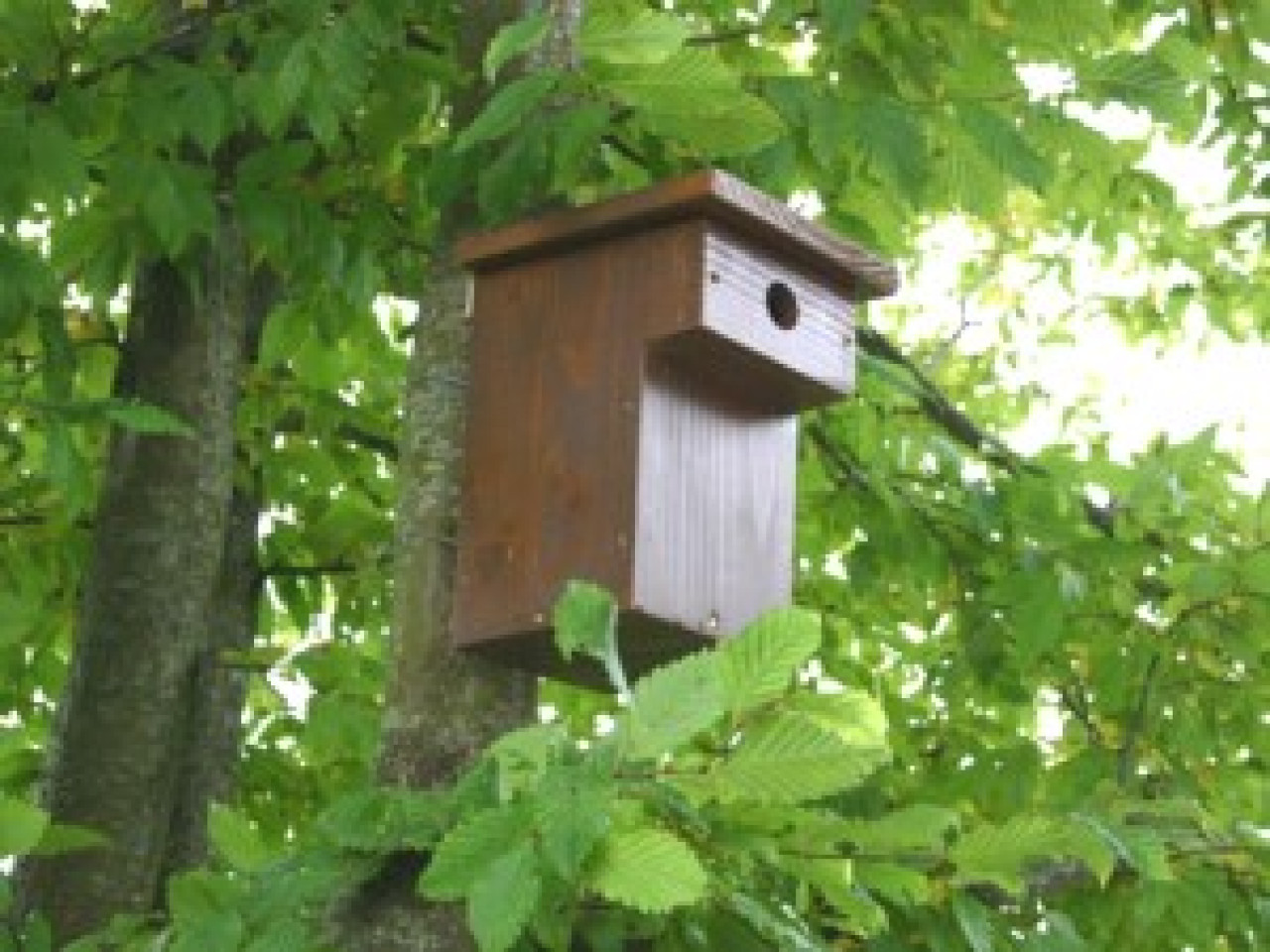 Interdiction de la chasse au gibier d’eau et aux oiseaux de passage Interdiction de la chasse au gibier d’eau et aux oiseaux de passage