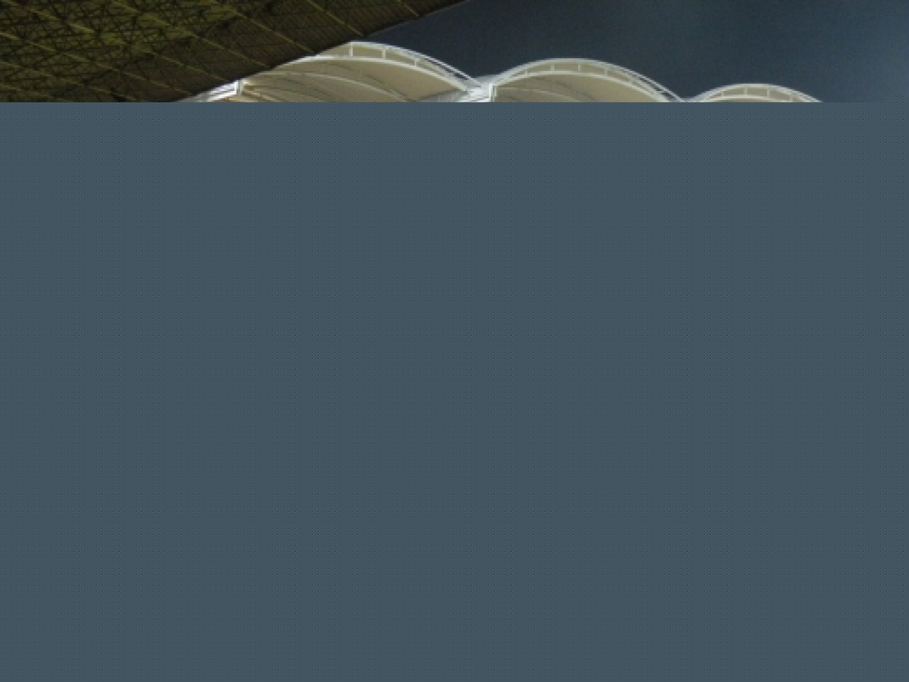 L’OL en quête de la bonne affaire L’OL en quête de la bonne affaire