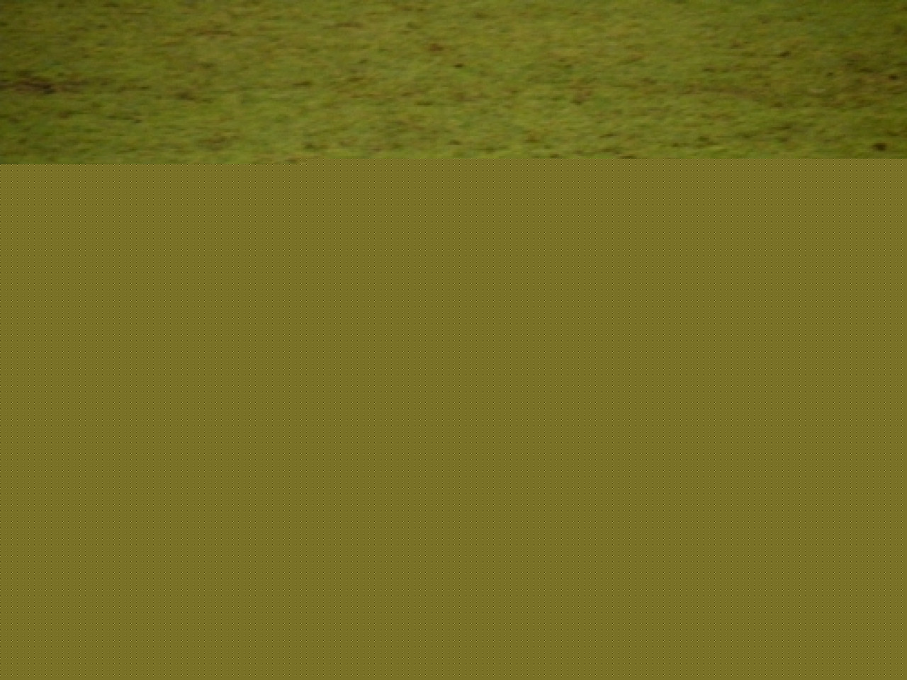 L’OL reste sur le podium L’OL reste sur le podium