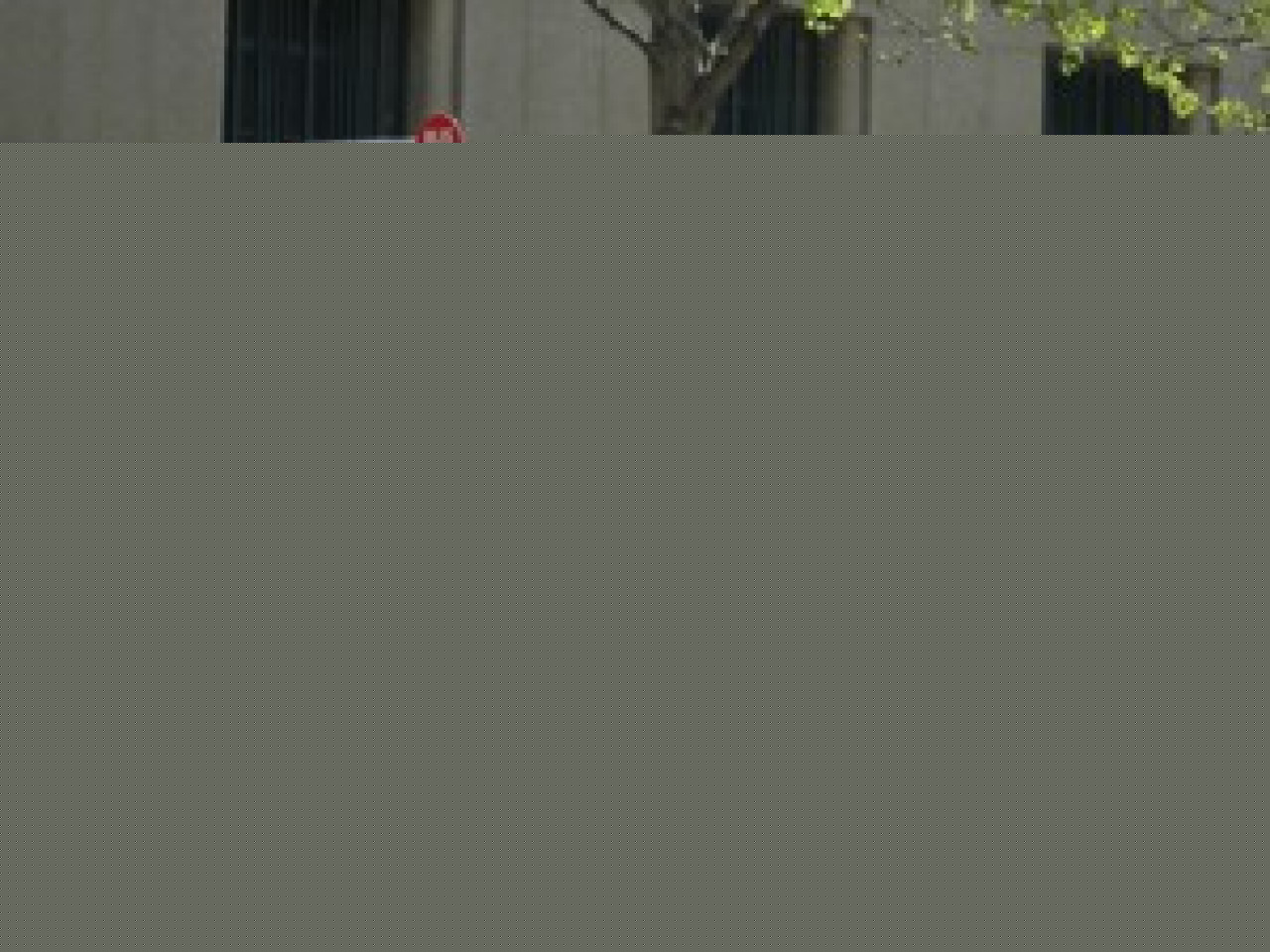 La ligne de bus 91 est limit&eacute;e